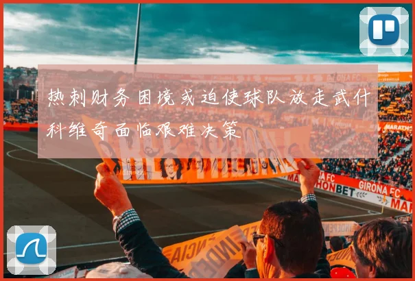 热刺财务困境或迫使球队放走武什科维奇面临艰难决策